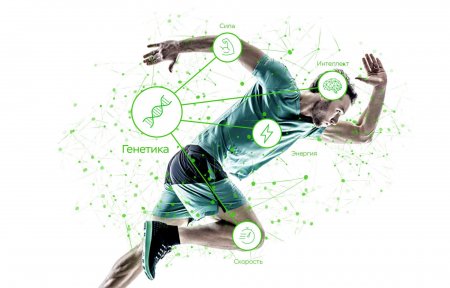 Как повысить свою продуктивность