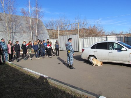 Полицейские провели экскурсию для детей в кинологической службе