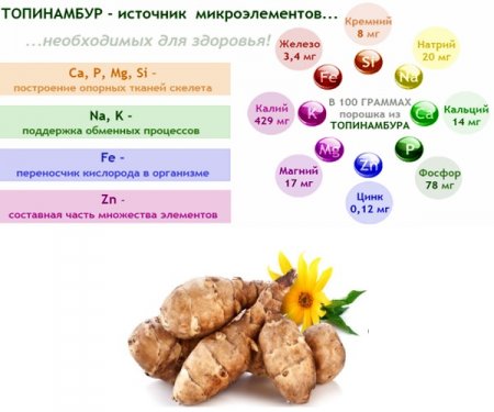 «Мой любимый топинамбур»