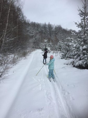 Зима пришла - вставай на лыжи