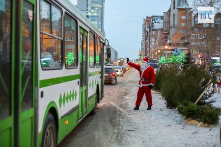 В Подмосковье продолжается экоакция «Подари своей елке вторую жизнь». Мострансавто напомнило серебрянопрудцам о правилах перевозки деревьев в автобусах