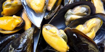 Найдено доказательство того, что повышение температуры воды убивает животных