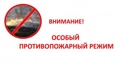 Об установлении на территории городского округа Серебряные Пруды Московской области особого противопожарного режима