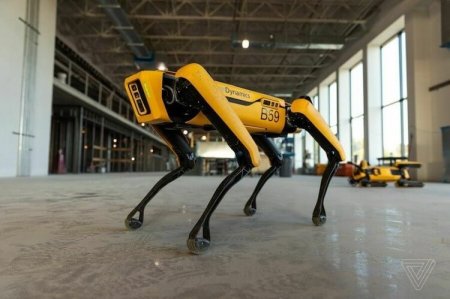 Роботы Boston Dynamics помогают в борьбе с коронавирусом в США