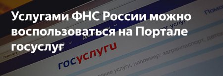 Услугами ФНС России можно воспользоваться на Портале госуслуг