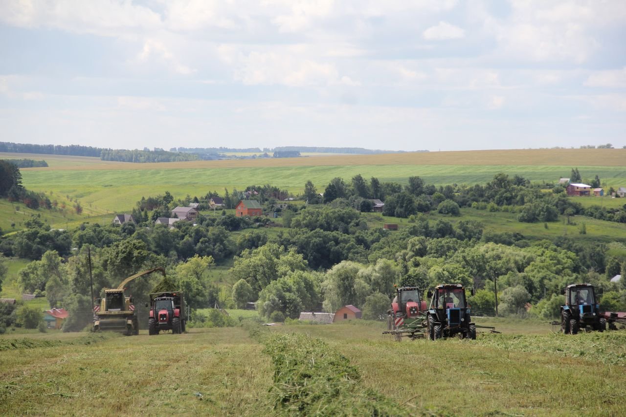 Село сева. Село Яровое. Сено в серебряные пруды. Развитие земледелия села Поповка.