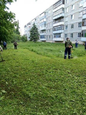 Благоустройство: итоги недели