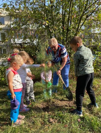 В детском саду «Осетрёнок» приобщились к прекрасной акции "Наш лес. Посади дерево"