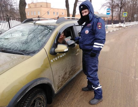 Госавтоинспекция Серебряных Прудов провела профилактическое мероприятие «Безопасная дорога»