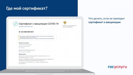 Что делать, если не приходит сертификат о вакцинации
