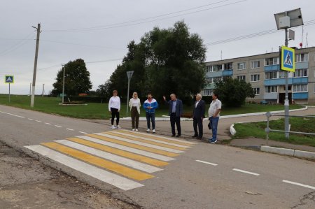 Качество пешеходного перехода проверили у школы в с. Петрово