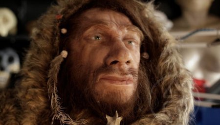 В Италии найден «конвейер» каменного века для изготовления инструментов