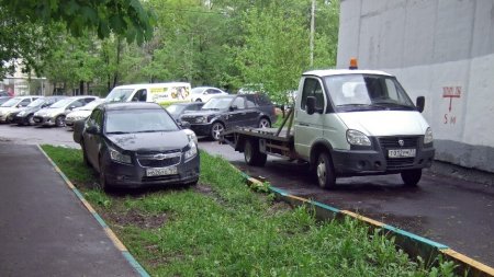 В новом КоАП появится штраф за мойку и газоны: нарушители заплатят 3000 рублей