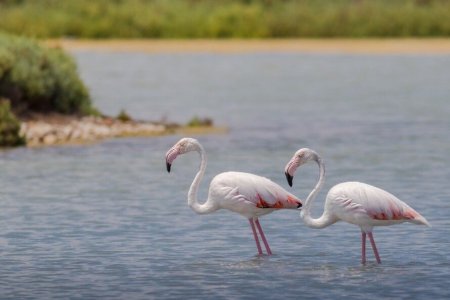 Турецкое озеро Туз почти полностью лишилось воды и скоро исчезнет