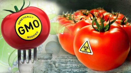 Опасны ли ГМО продукты — мифы и реальность