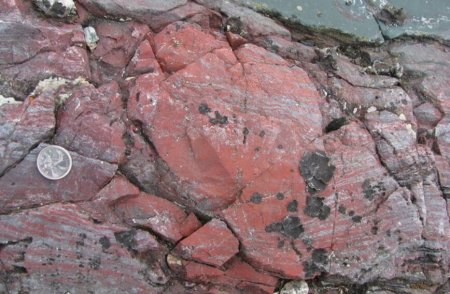 Жизнь на Земле могла появиться раньше, чем принято считать