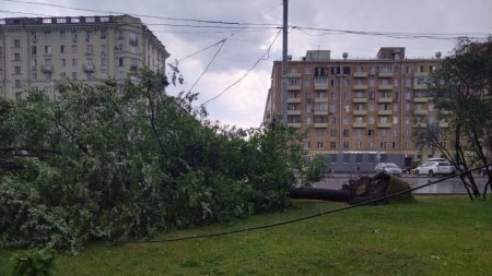 Москву накрыл ураган: разрушительные последствия стихии попали на видео