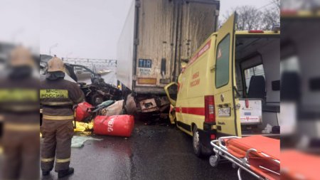 На трассе М-10 в Тверской области произошла массовая авария