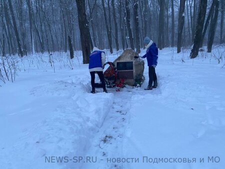 ЕДИНОРОССЫ РАСЧИСТИЛИ СНЕГ У ПАМЯТНОГО КАМНЯ