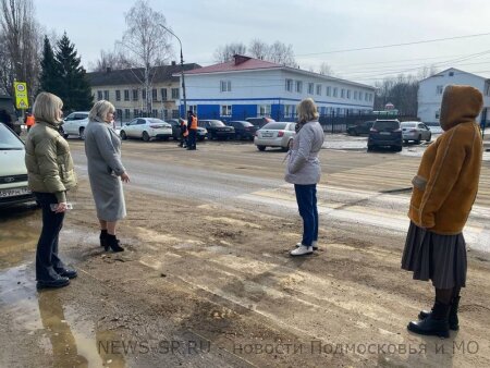 МОНИТОРИНГ ДОРОГ, ПЕШЕХОДНЫХ МАРШРУТОВ ПРОВЕЛИ СЕРЕБРЯНОПРУДСКИЕ ПАРТИЙЦЫ