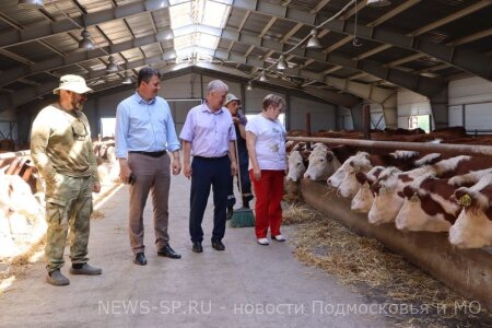 ПРОЕКТ "ВЫБИРАЙ СВОЁ" НАБИРАЕТ ОБОРОТЫ