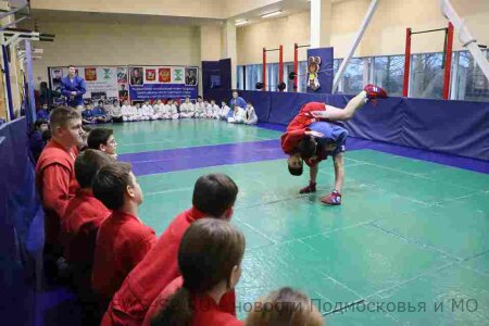 Спортивный праздник организовали партийцы в Серебряных Прудах