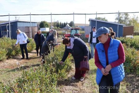 В рамках реализации местного партийного проекта "Земляки", участники СВО посетили ягодную ферму в Серебряных Прудах